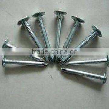 eg coil roofing nails