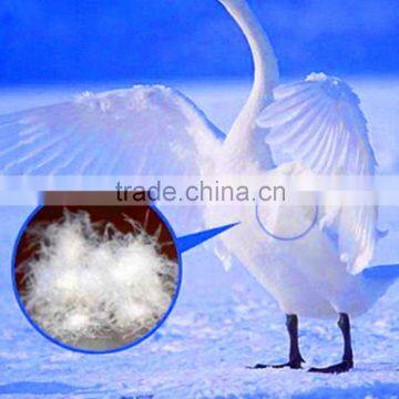New 2016 Comfortable White Goose Down Quilt Products Imported From China Wholesale