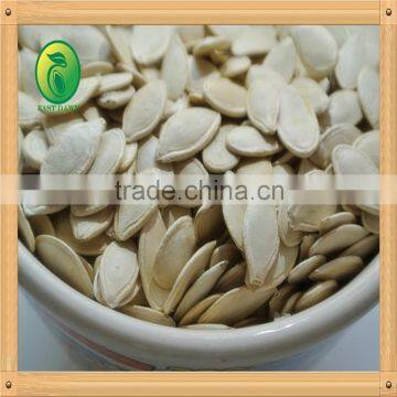 Shine Skin Pumpkin Seeds Wholesale Raw Material photo-3