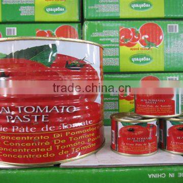 Chinese Food Canned Tomato Paste, Tinned Tomato Paste, Sachet Tomato Paste