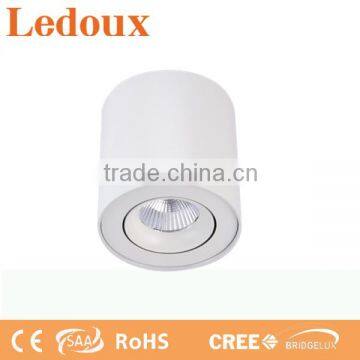modern white adjustable surface mounted ceiling light