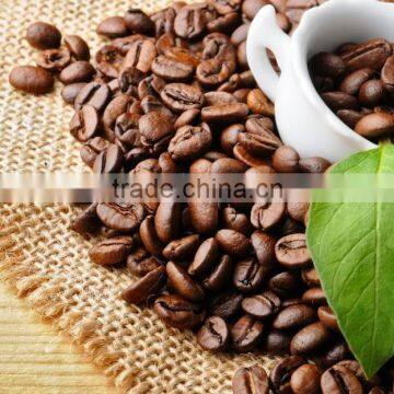 Roasted Coffee Bean from India - Best Competitive Price