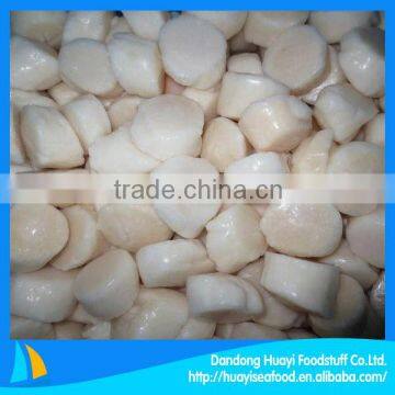 frozen scallop for sale