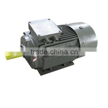 Chinese heavy duty electric motor for sale