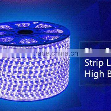 Blue Color Strip Light Home decoration light 220V SMD Rope Light Waterproof Light