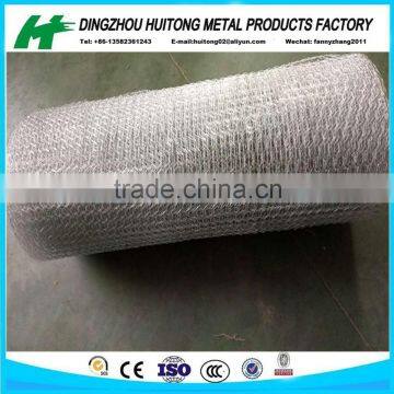 1/2",3/4" Galvanized Hexagonal Wire Netting/chicken Mesh/rabbit Netting photo-6
