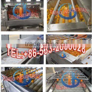 High Performance Automatic Industrial Fruit Washing Machine photo-3