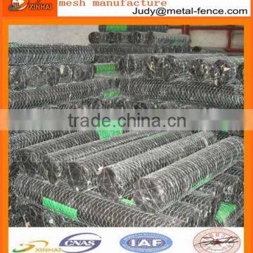 Chickn wire/fish trap hexagonal wire mesh