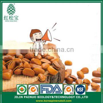 Factory Direct Export Sweets Cedar Open Pine Nuts in Shell