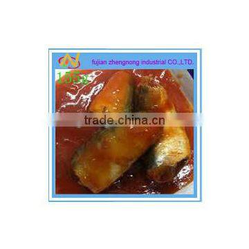 bulk sale 155g canned mackerel fish in tomato sauce(ZNMT0075)