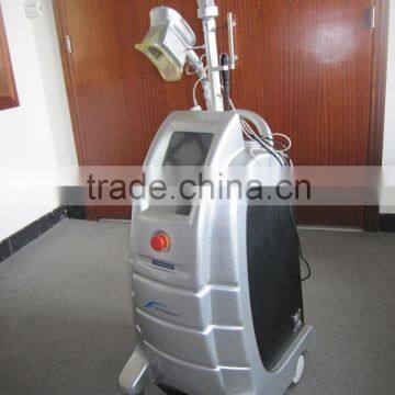 Vertical Guangzhou BL Effective Body Slimming Machine Fat Freeze Cryolipolysis Device Local Fat Removal