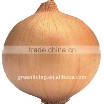 sell Onion from China onion seeds