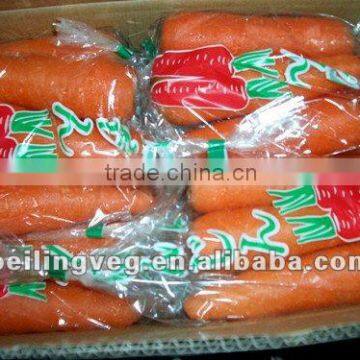 (new crop) Xiamen fresh red carrot