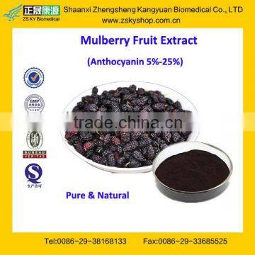 GMP Manufacturer Supply Best Price Anthocyanin 5%-25% Mulberry Fruit Extract