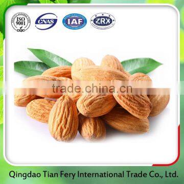 100% natural organic apricot kernel wholesales