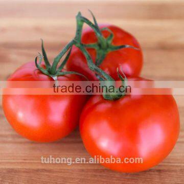 Indeterminate Growth Pink Tomato Early Maturity Tomato Seeds