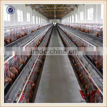 full automatic chicken farm poultry equipment for sale