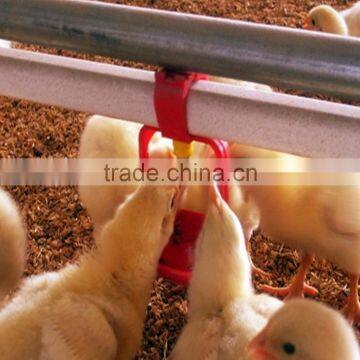 Greenhouse And Poultry Control Shed Equipment photo-2