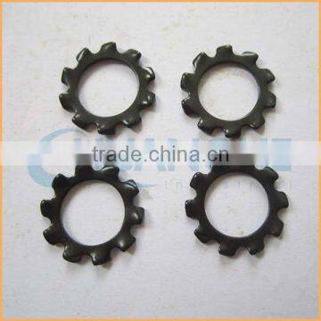 China Professional Manufacturing Galvanized Serrated Lock Washer photo-6
