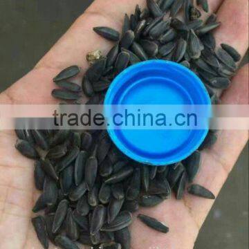 8TPD Automatic Mini Cooking Sunflower Seeds Oil Makeing Machine