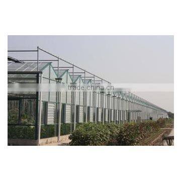 Vegetable Greenhouses for Sale/greenhouses for Roses/vegetable Seeds Greenhouse photo-5