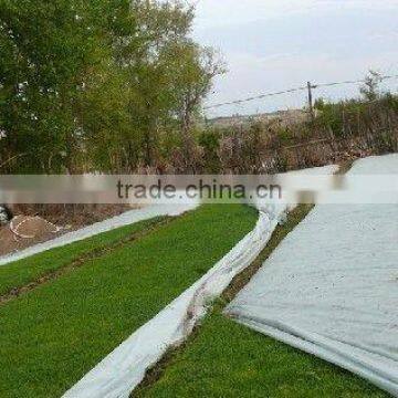 PP NON WOVEN AGRICULTURE CLOTH