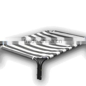 Beg for Dog With Metal Frame photo-4