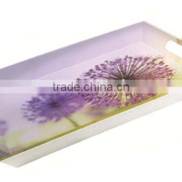 CT-2052 Food Grade Melamine Tray photo-2