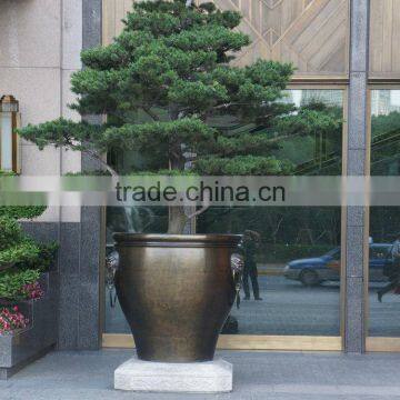 Large Fiberglass Planter photo-2