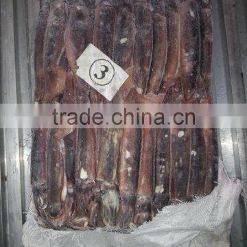 Illex Squid Argentinus photo-3