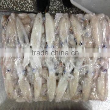 High Quality Whole Round Frozen Baby Squid for Sale photo-5