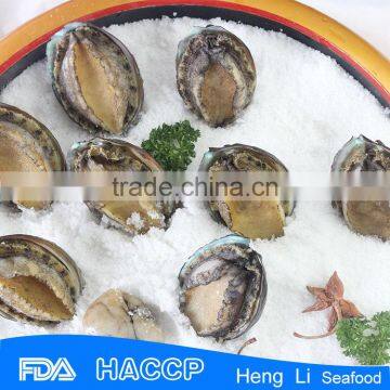 Fresh Frozen Green Abalone photo-3