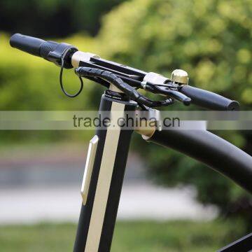 e-bike 36V 5.8Ah folding electric bike