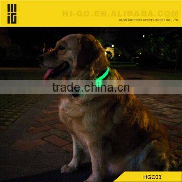 Bing bing dog collar LED