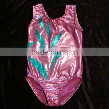 girls leotard gymnastics Lilac mystique with Teal slashes as overlay front and back