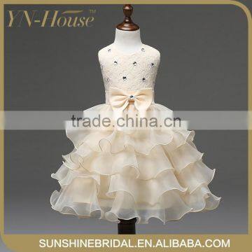 evening dress(adrianna papell)