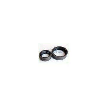 PTFE Glyd ring seal/GSF