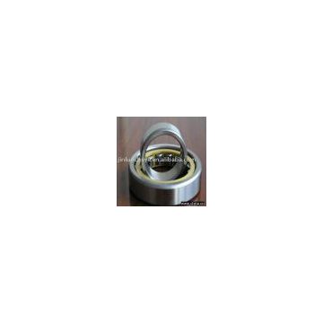 cylindrical roller bearing