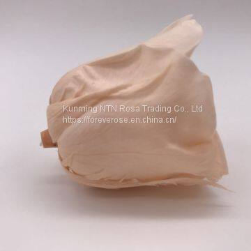 Preserved Flowers Wedding Bridal Bouquets Natural Eternal Roses photo-2