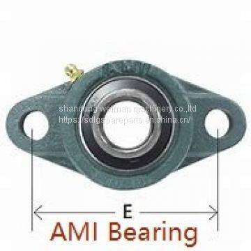 AMI Bearing