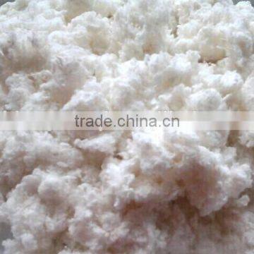 raw refined cotton