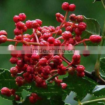 Chinese raw sichuan peppercorn