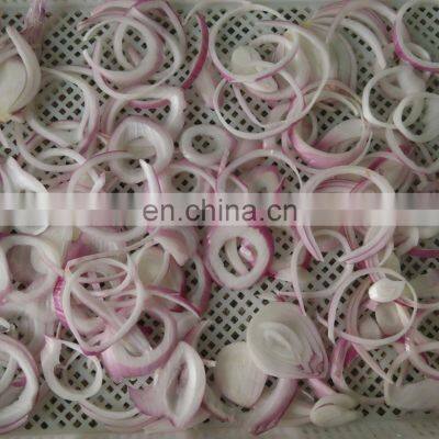 Sinocharm IQF Fresh Vegetable Onion Strips 8-10 mm Suppliers Frozen White Onion photo-3