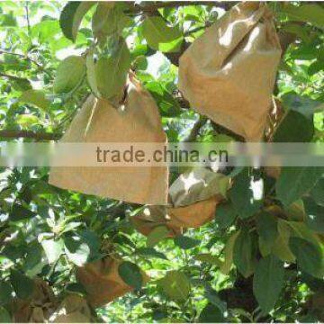 2 Layers Fruit Protection Pear Bag for Growing photo-3