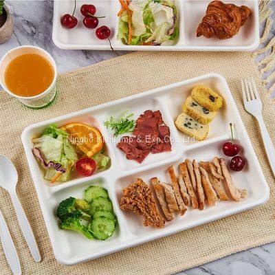 5 Compartment Compostable Tableware Disposable Biodegradable Dinnerware Sugarcane Bagasse Trays photo-4