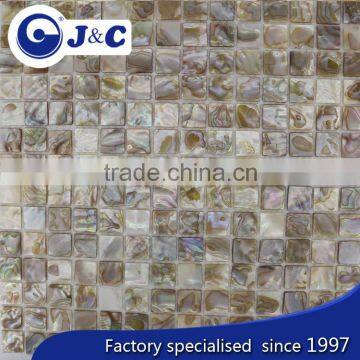Low Price Natural River Shell Mosaic for Decoration photo-3