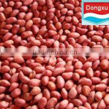 shandong red peanut kernels