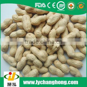 2014 new crop peanuts in shell with good price