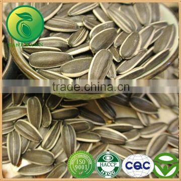 Chinese Cheap Sunflower Seeds For Sale