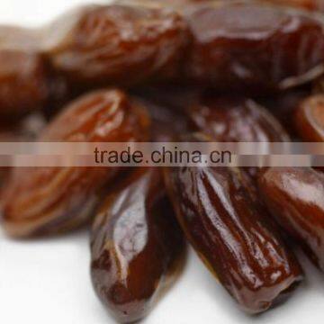 Industrial Dates Size Grader Machine Fruit Processing Equipment photo-2